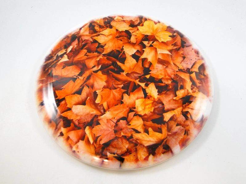 Dynamic Discs Raider Fuzion DyeMax