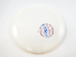 Dynamic Discs Raider Hybrid